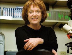 令人期待的网站攻击工具